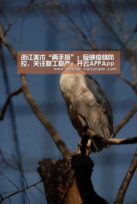 浙江美术“两手抓”：反映疫情防控、关注复工复产：开云APPA
