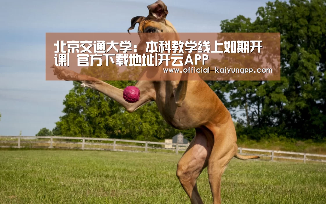 开云APPApp下载 