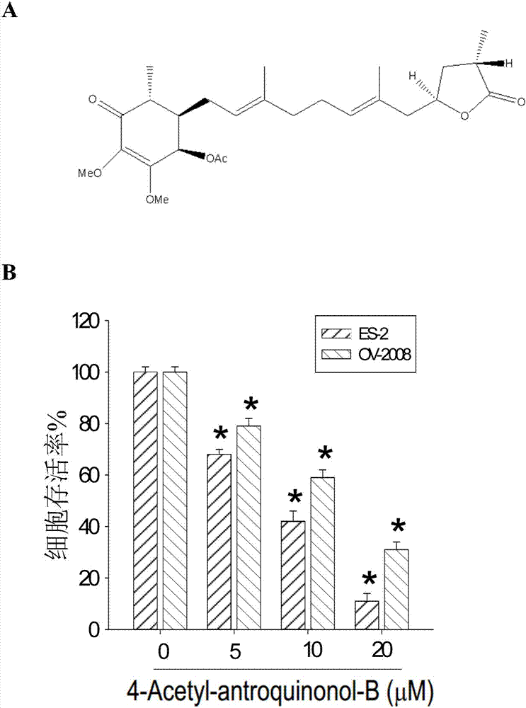  官方下载地址|开云APP