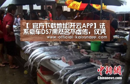  官方下载地址|开云APP